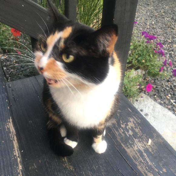 Meet your Posher, A Late Bloomer - Picture 12 of 15